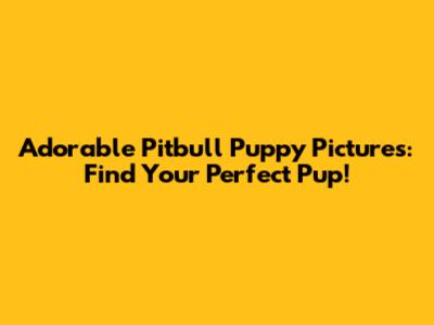 Adorable Pitbull Puppy Pictures: Find Your Perfect Pup!