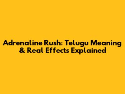 Adrenaline Rush: Telugu Meaning & Real Effects Explained