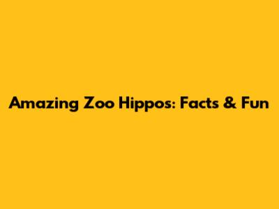 Amazing Zoo Hippos: Facts & Fun