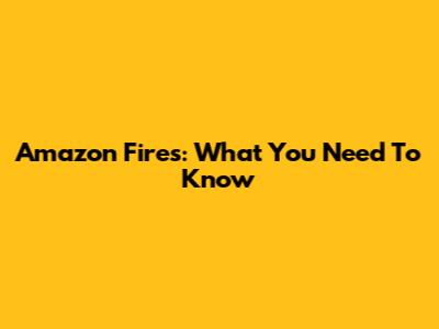 Amazon Fires: What You Need To Know
