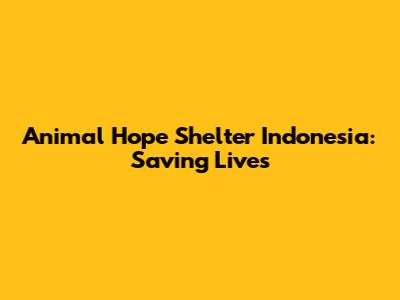 Animal Hope Shelter Indonesia: Saving Lives