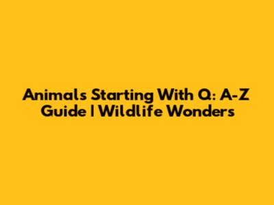 Animals Starting With Q: A-Z Guide | Wildlife Wonders