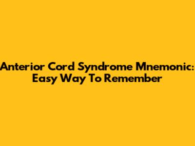 Anterior Cord Syndrome Mnemonic: Easy Way To Remember