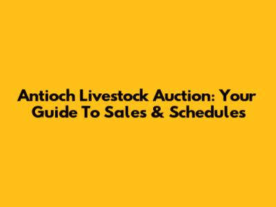 Antioch Livestock Auction: Your Guide To Sales & Schedules