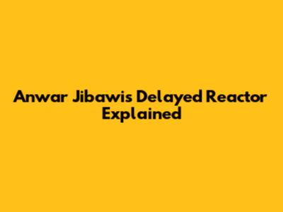 Anwar Jibawi's Delayed Reactor Explained