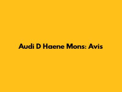 Audi D Haene Mons: Avis