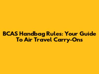 BCAS Handbag Rules: Your Guide To Air Travel Carry-Ons