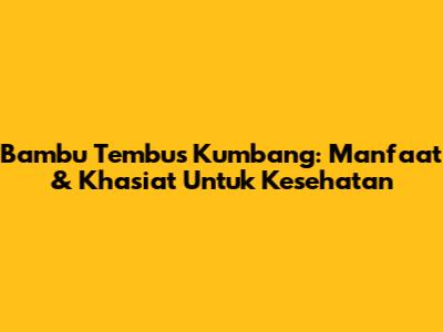 Bambu Tembus Kumbang: Manfaat & Khasiat Untuk Kesehatan