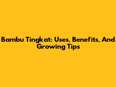 Bambu Tingkat: Uses, Benefits, And Growing Tips