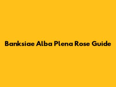 Banksiae Alba Plena Rose Guide