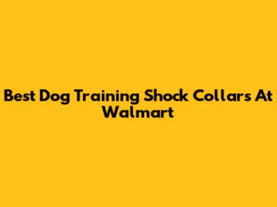 Best Dog Training Shock Collars At Walmart