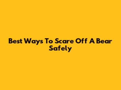 Best Ways To Scare Off A Bear Safely