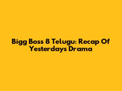 Bigg Boss 8 Telugu: Recap Of Yesterday's Drama