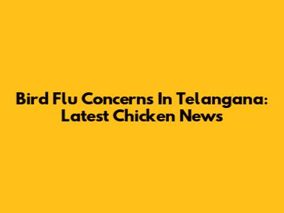 Bird Flu Concerns In Telangana: Latest Chicken News