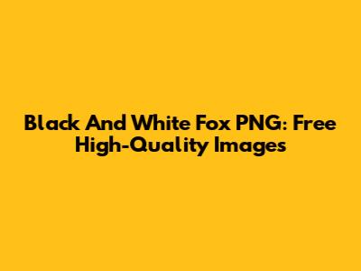 Black And White Fox PNG: Free High-Quality Images