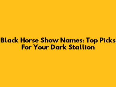 Black Horse Show Names: Top Picks For Your Dark Stallion
