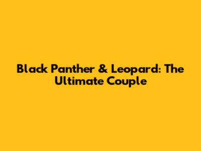Black Panther & Leopard: The Ultimate Couple