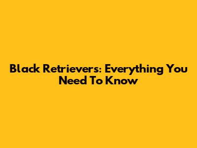 Black Retrievers: Everything You Need To Know