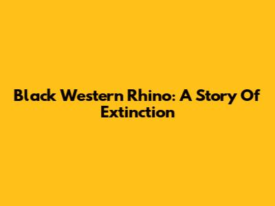Black Western Rhino: A Story Of Extinction