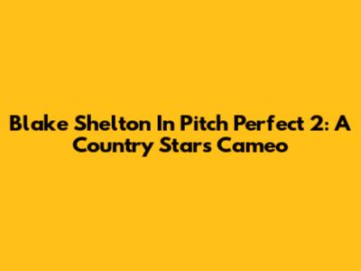 Blake Shelton In Pitch Perfect 2: A Country Star's Cameo