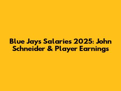 Blue Jays Salaries 2025: John Schneider & Player Earnings