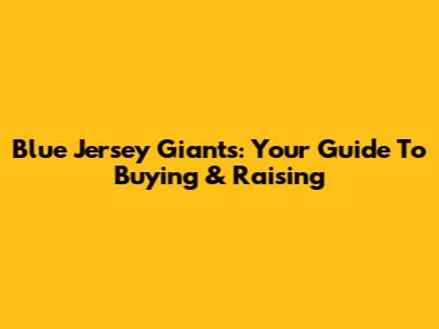Blue Jersey Giants: Your Guide To Buying & Raising