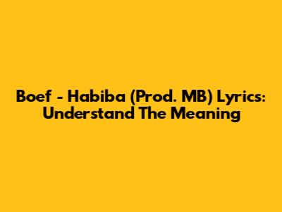 Boef - Habiba (Prod. MB) Lyrics: Understand The Meaning