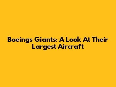 Boeing's Giants: A Look At Their Largest Aircraft
