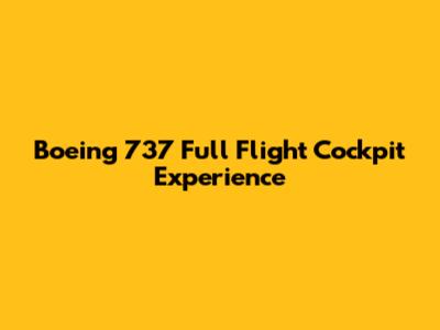 Boeing 737 Full Flight Cockpit Experience