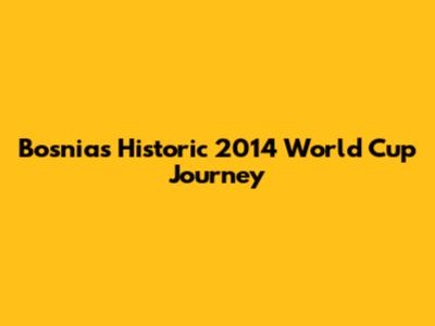 Bosnia's Historic 2014 World Cup Journey