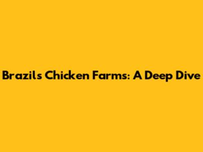 Brazil's Chicken Farms: A Deep Dive