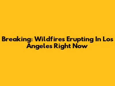 Breaking: Wildfires Erupting In Los Angeles Right Now