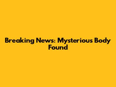 Breaking News: Mysterious Body Found