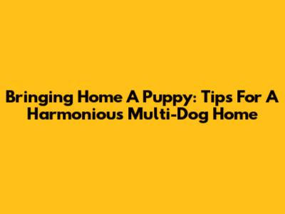 Bringing Home A Puppy: Tips For A Harmonious Multi-Dog Home