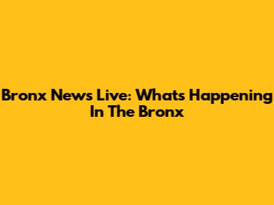 Bronx News Live: What's Happening In The Bronx