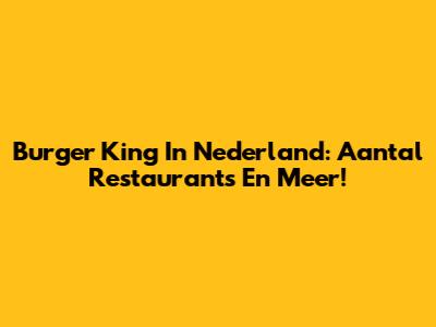 Burger King In Nederland: Aantal Restaurants En Meer!