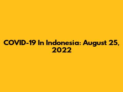 COVID-19 In Indonesia: August 25, 2022