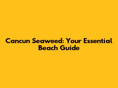Cancun Seaweed: Your Essential Beach Guide