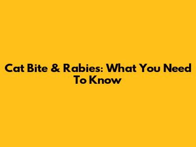Cat Bite & Rabies: What You Need To Know