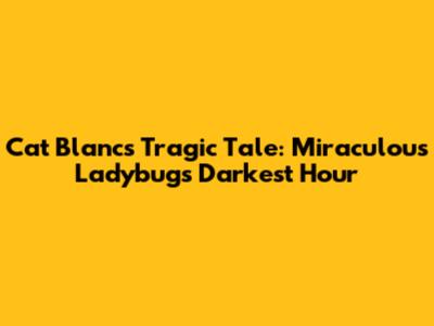 Cat Blanc's Tragic Tale: Miraculous Ladybug's Darkest Hour