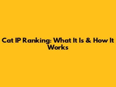 Cat IP Ranking: What It Is & How It Works