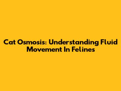 Cat Osmosis: Understanding Fluid Movement In Felines