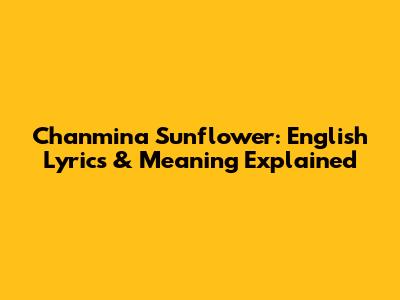 Chanmina Sunflower: English Lyrics & Meaning Explained