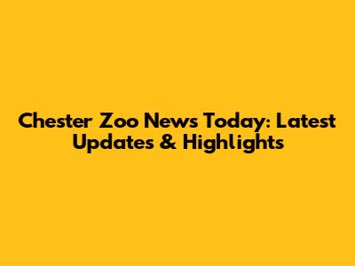 Chester Zoo News Today: Latest Updates & Highlights