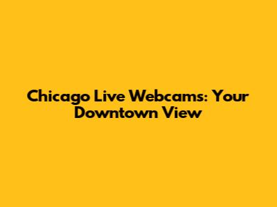 Chicago Live Webcams: Your Downtown View