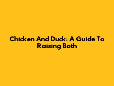 Chicken And Duck: A Guide To Raising Both