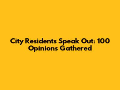 City Residents Speak Out: 100 Opinions Gathered