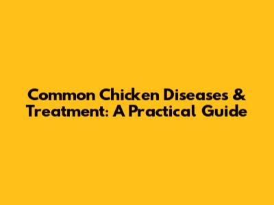 Common Chicken Diseases & Treatment: A Practical Guide