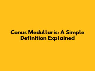 Conus Medullaris: A Simple Definition Explained