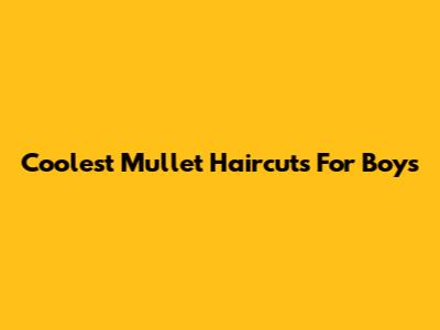 Coolest Mullet Haircuts For Boys